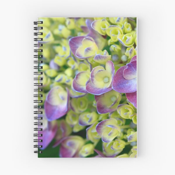 Item preview, Hydrangea designed and sold by Gaspar Avila.