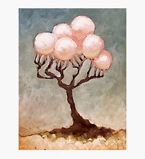 The Luster in the Sun Photographic Print