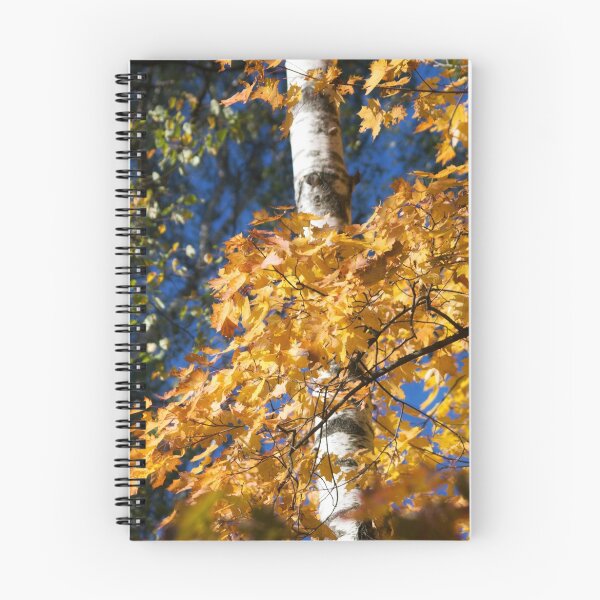 Item preview, Autumn Forest designed and sold by cinema4design.