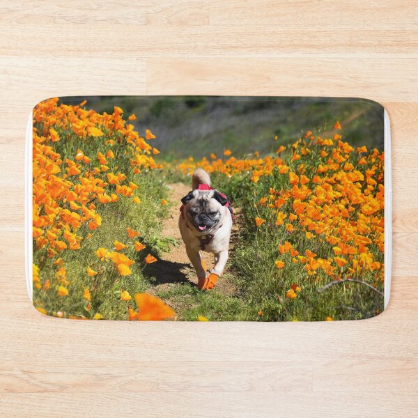 Item preview, Pug Prancing On Picture Perfect Poppy Path designed and sold by pugventurephoto.
