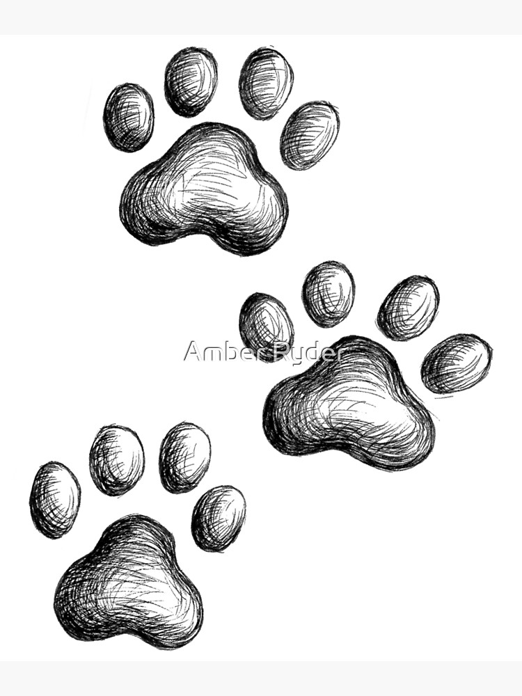 Sketched Dog Paw Print Drawing Graphic by almdrs · Creative Fabrica