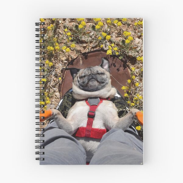 Item preview, Portrait of a Desert Pug designed and sold by pugventurephoto.