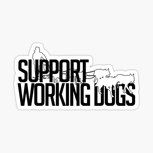 3 x WORKING DOGS DO NOT OPEN  VEHICLE STICKER DECALS s479 