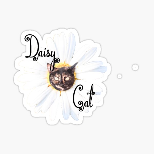 "Daisy Cat" Sticker for Sale by CamoKitten Redbubble