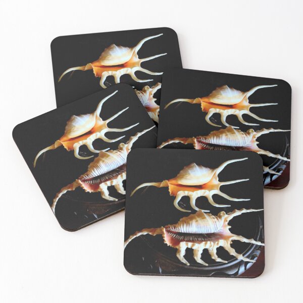 Item preview, Shell We Dance, Da Da Da... designed and sold by Michael May.