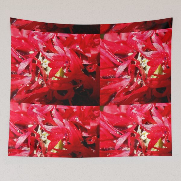 Item preview, Red Spirals designed and sold by Kashmere1646.