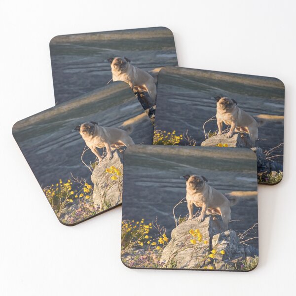 Item preview, The Majestic Adventure Pug Scans Horizon For Treats designed and sold by pugventurephoto.