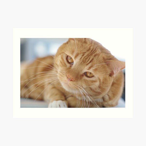 What's Up? Art Print