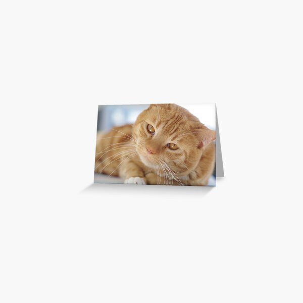What's Up? Greeting Card