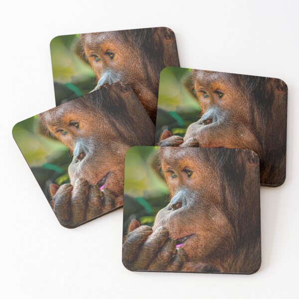Item preview, Orangutan 1 designed and sold by photograham.