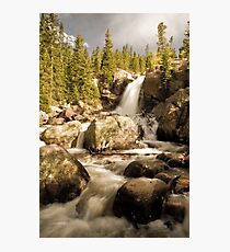 Alberta Photographic Print