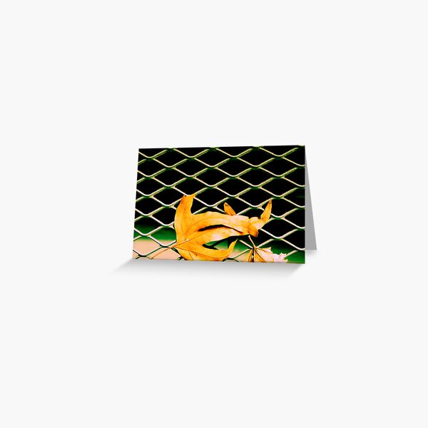 On The Outside Greeting Card