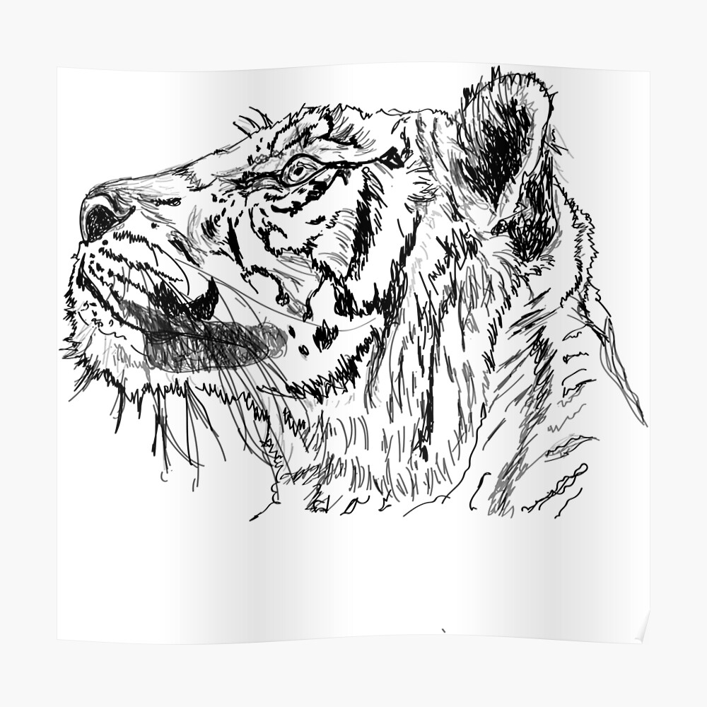 16600 Tiger Face Illustrations RoyaltyFree Vector Graphics  Clip Art   iStock  Tiger face vector Tiger face close up Tiger face icon