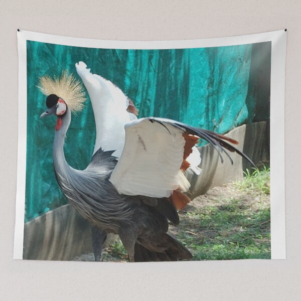 Item preview, ALMOST THERE - CROWNED CRANE (GREY) - Balearica regulorum designed and sold by Magriet Meintjes.