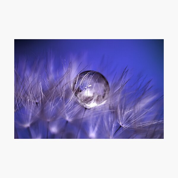 Item preview, Droplet designed and sold by Daniel Spruce.