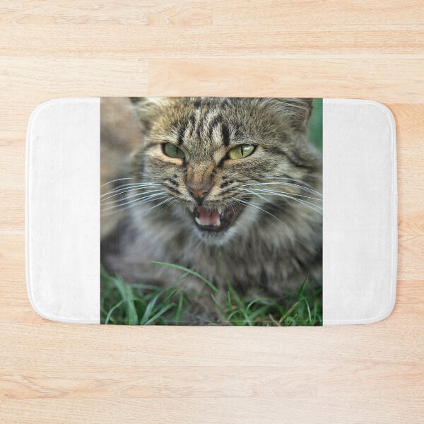 Item preview, striped fluffy cat sitting on ground designed and sold by olena2552.
