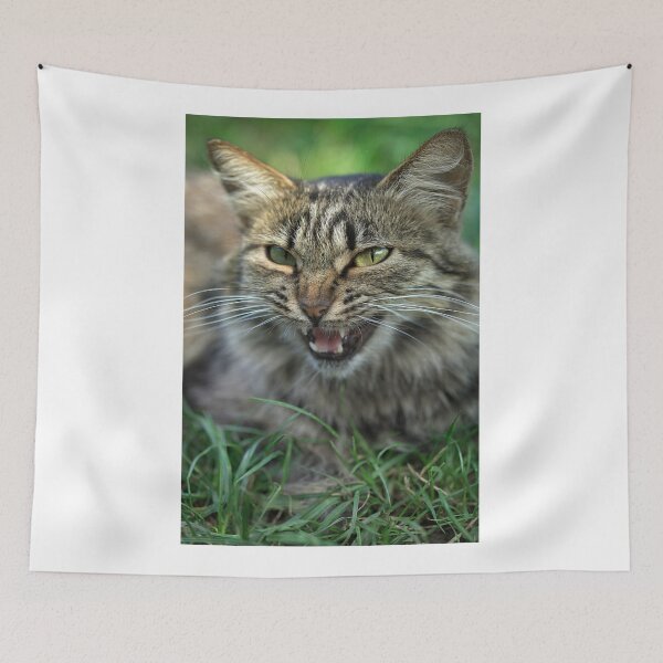 Item preview, striped fluffy cat sitting on ground designed and sold by olena2552.