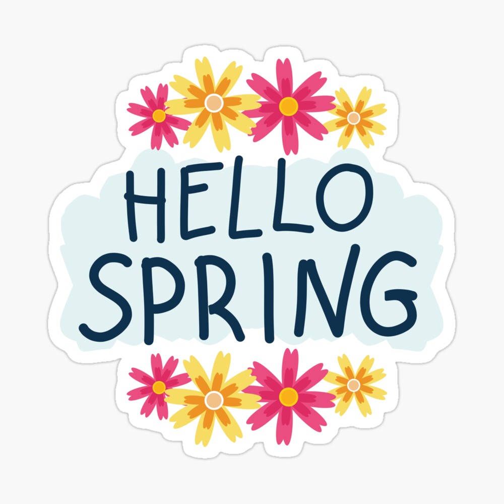 Hello Spring Shirt Cute Easter Shirt Spring T-shirt Gift 