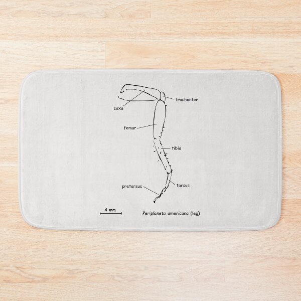 Item preview, Cockroache leg, labeled designed and sold by RosArt100.
