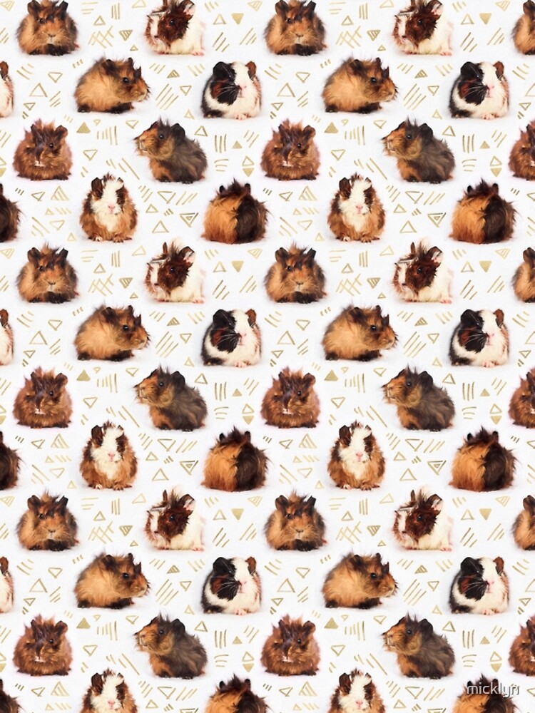 The Essential Guinea Pig by micklyn