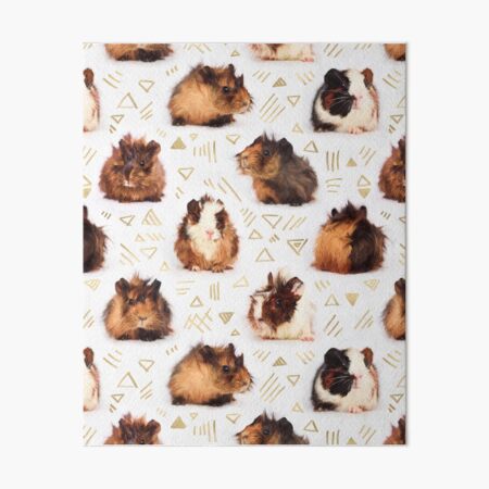 The Essential Guinea Pig Art Board Print