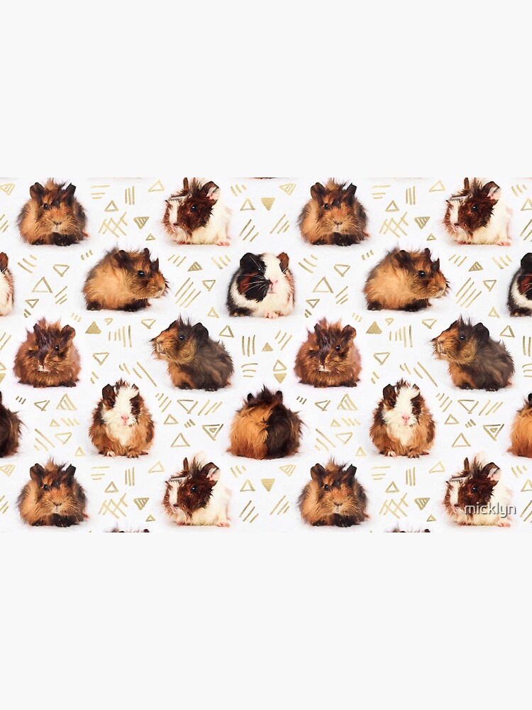 The Essential Guinea Pig by micklyn