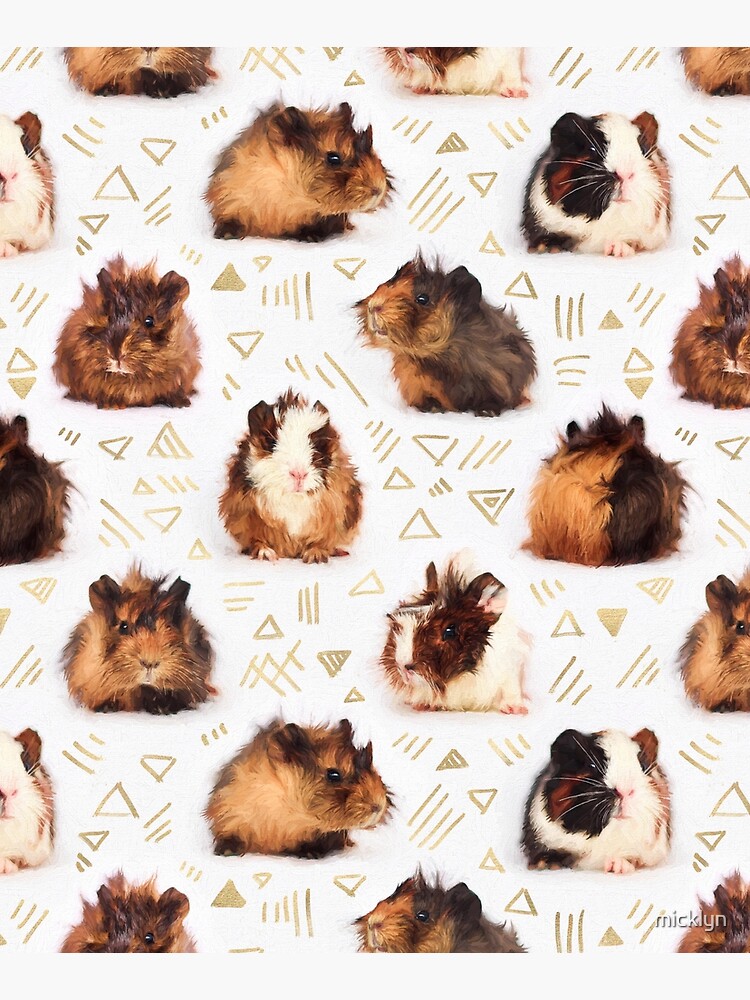The Essential Guinea Pig by micklyn