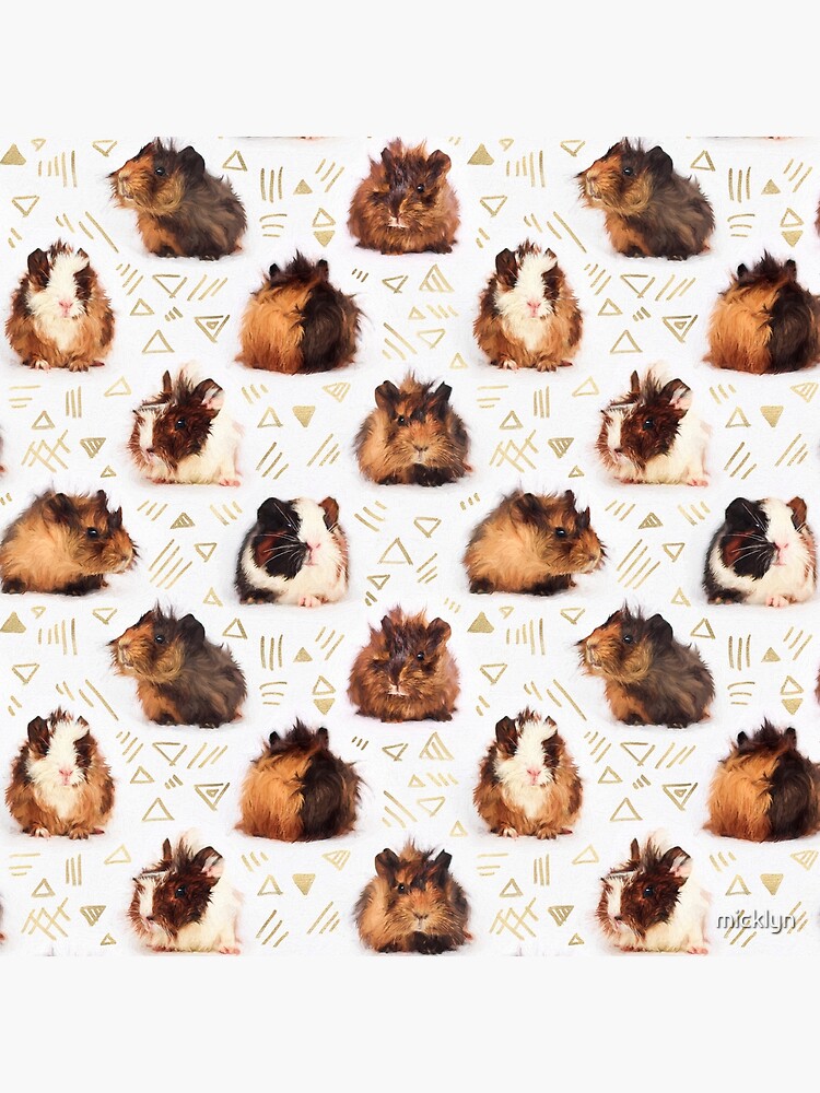 The Essential Guinea Pig by micklyn