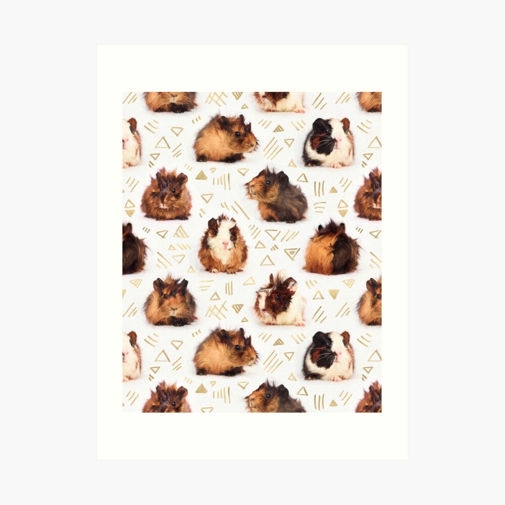 The Essential Guinea Pig Art Print