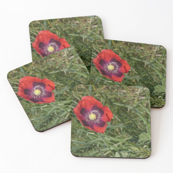 Item preview, Coast Path Breadseed Poppy designed and sold by C Rose.