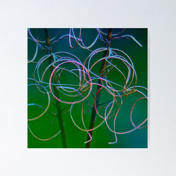 Item preview, Fireweed Abstracted designed and sold by finnarct.