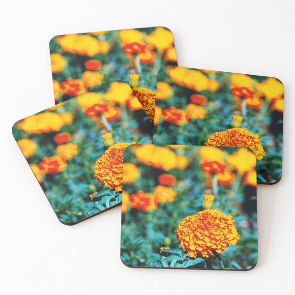Item preview, Zinnias designed and sold by Gaspar Avila.