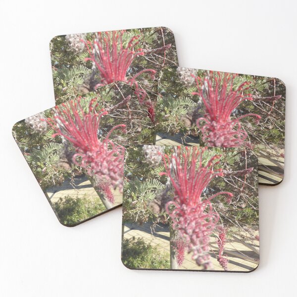 Item preview, Large Grevillea  flower, Tea Tree Gully Square.  designed and sold by RitaBlom.