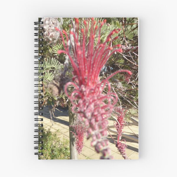 Item preview, Large Grevillea  flower, Tea Tree Gully Square.  designed and sold by RitaBlom.
