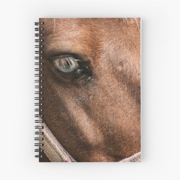 Item preview, Pony Eye designed and sold by Luna Doodle Design.