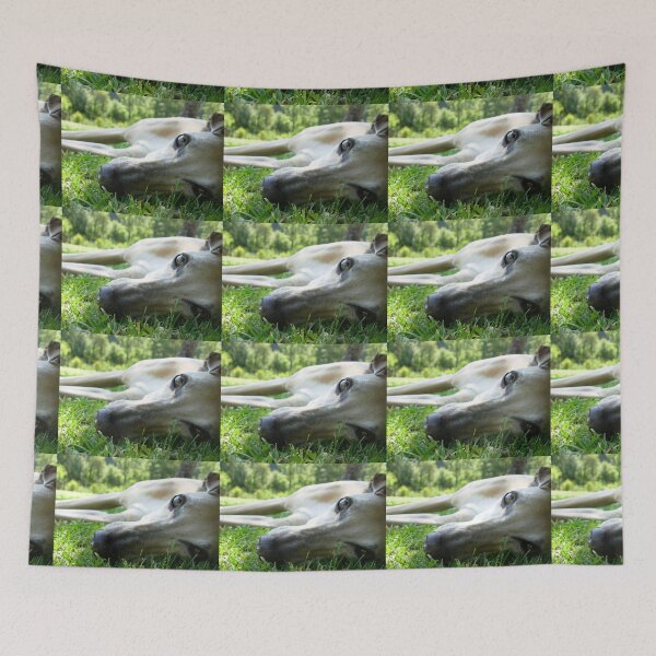 Item preview, Whippet eyes. designed and sold by whippetmuse.