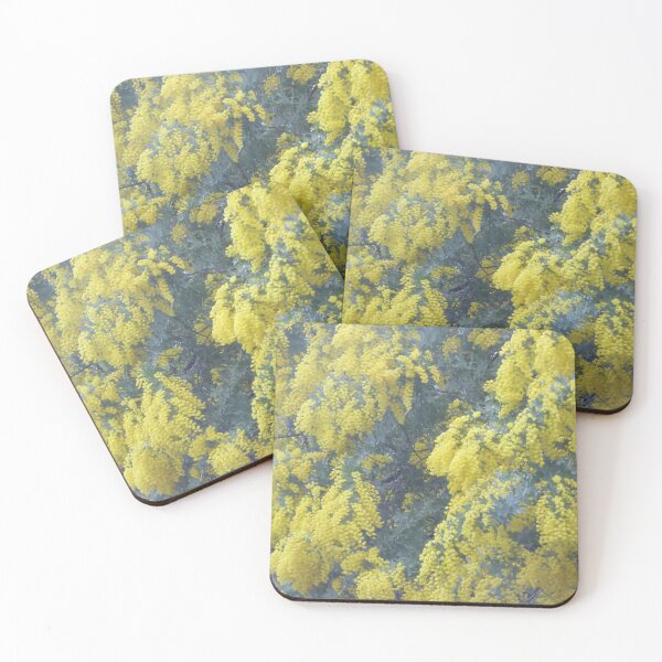 Item preview, Cootamundra Wattle in the Rain! Front garden, Australian Native Tree. designed and sold by RitaBlom.