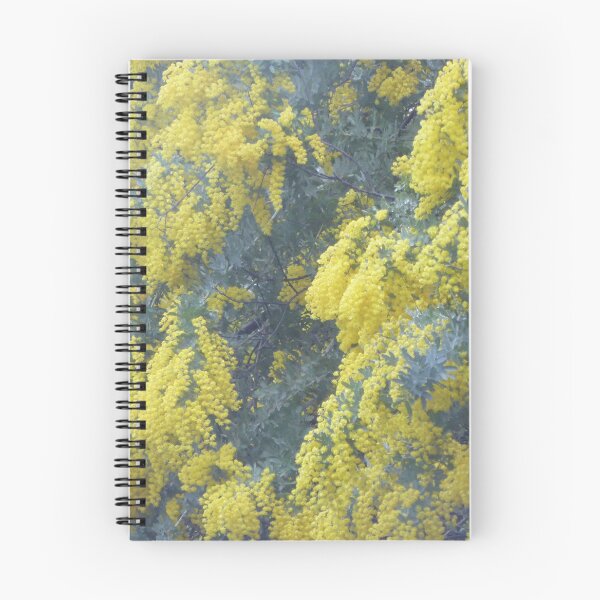 Item preview, Cootamundra Wattle in the Rain! Front garden, Australian Native Tree.  designed and sold by RitaBlom.