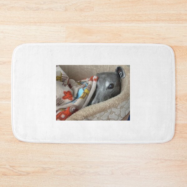 Item preview, Greyhound eye spy with my little eye. designed and sold by whippetmuse.