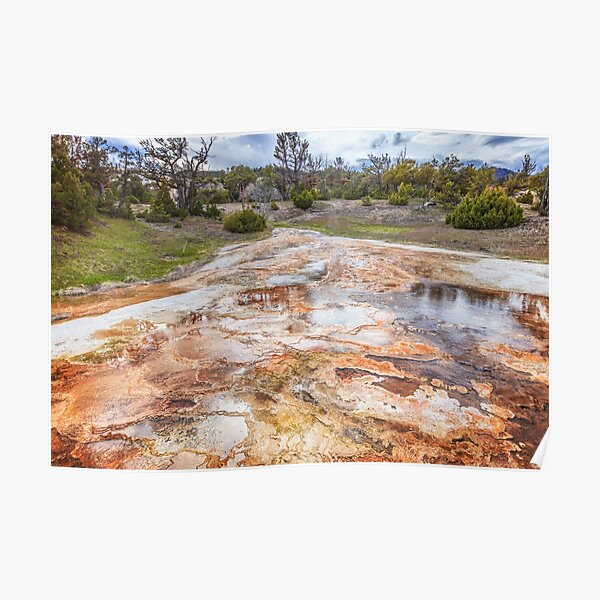 Mammoth Grassy Spring Poster