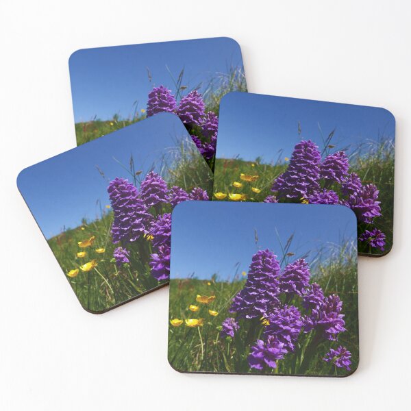 Item preview, Hybrid Orchid (Dactylorhiza maculata x purpurella) designed and sold by IOMWildFlowers.