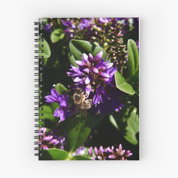 Item preview,  Hebe designed and sold by IOMWildFlowers.