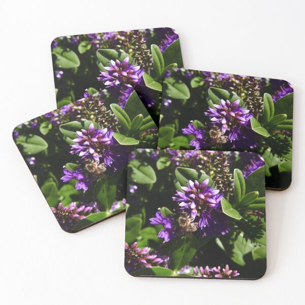 Item preview,  Hebe designed and sold by IOMWildFlowers.