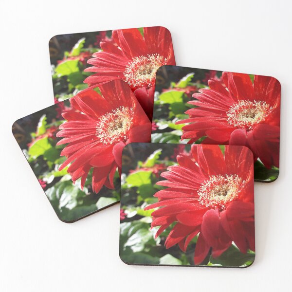 Item preview, Flower Photograph  designed and sold by Hailey Horror.