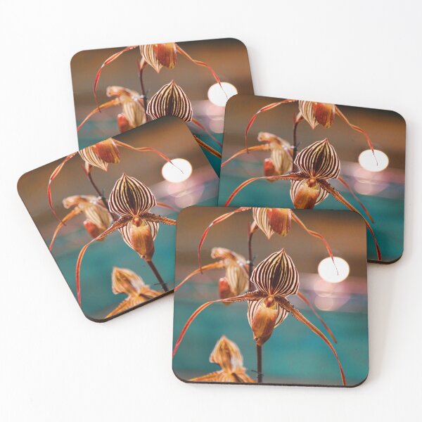 Item preview, USA. Philadelphia Flower Show 2014. Orchids. designed and sold by vadim19.