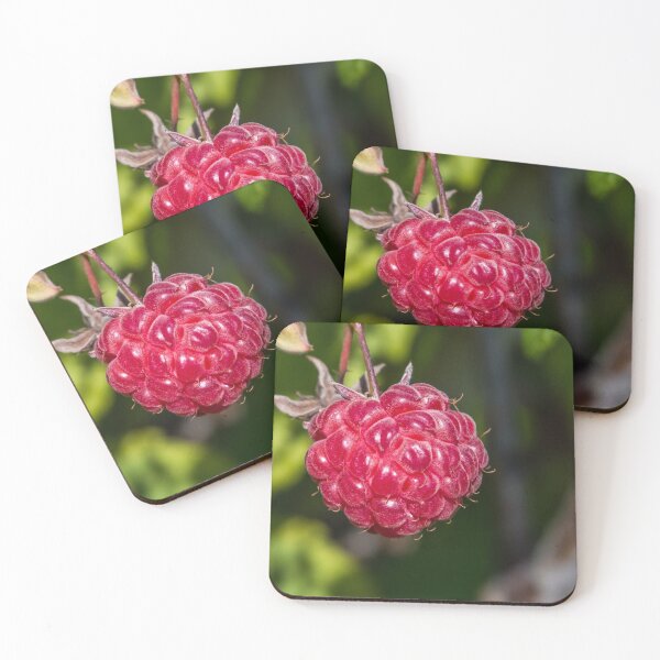 Item preview, A Single Raspberry Closeup on a Summer Day designed and sold by Jon Shore.