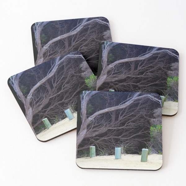 Item preview, Old Forest ... Australia designed and sold by Angelika  Vogel.
