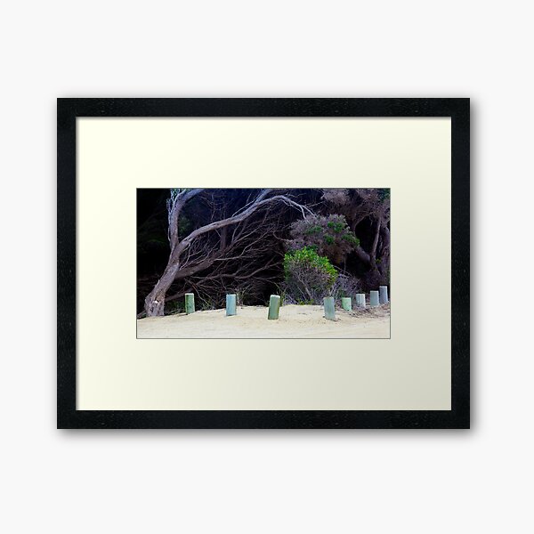 Item preview, Old Forest ... Australia designed and sold by Angelika  Vogel.