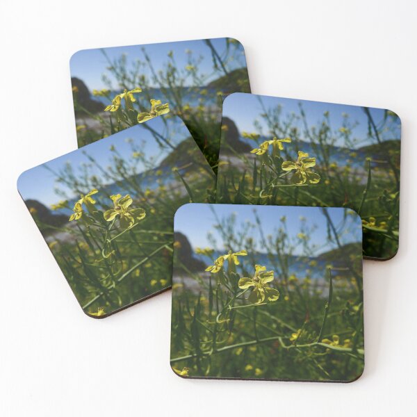 Item preview, Sea Radish (Raphanus raphanistrum ssp. maritimus) designed and sold by IOMWildFlowers.