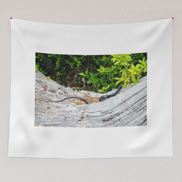 Item preview, Black Snake In Tree designed and sold by Cynthia48.